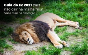 Guia Ir 2021 Para Nao Cair Na Malha Fina Saiba Mais Na Descricao Post 1 - Conti Contabilidade - Escritório de Contabilidade no Rio de Janeiro